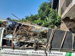 Best Recycling Services for Junk  in Clinton, MO